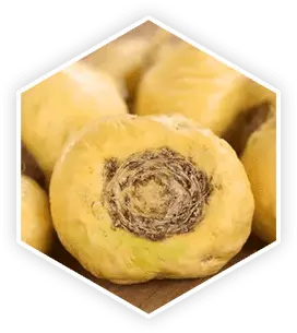 prostavive official website buy
